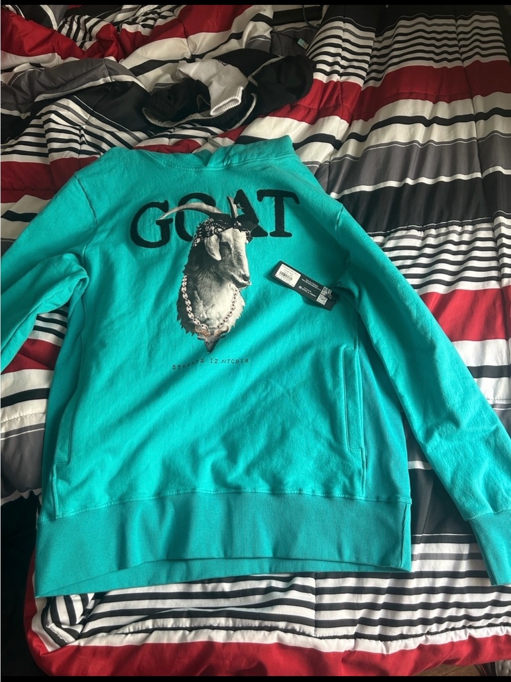Turquoise GOAT Graphic Crewneck Sweatshirt
